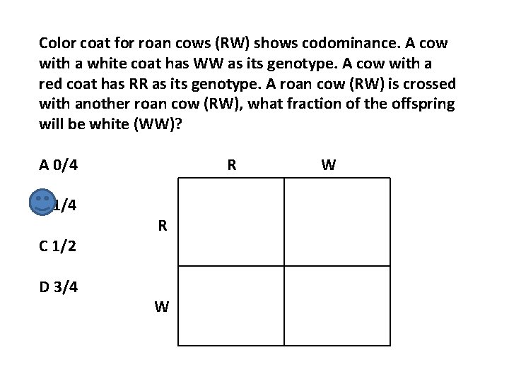 Color coat for roan cows (RW) shows codominance. A cow with a white coat