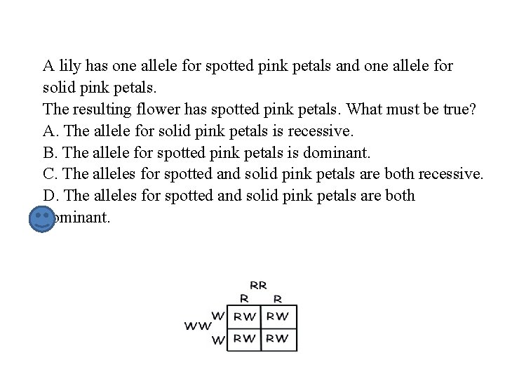 A lily has one allele for spotted pink petals and one allele for solid