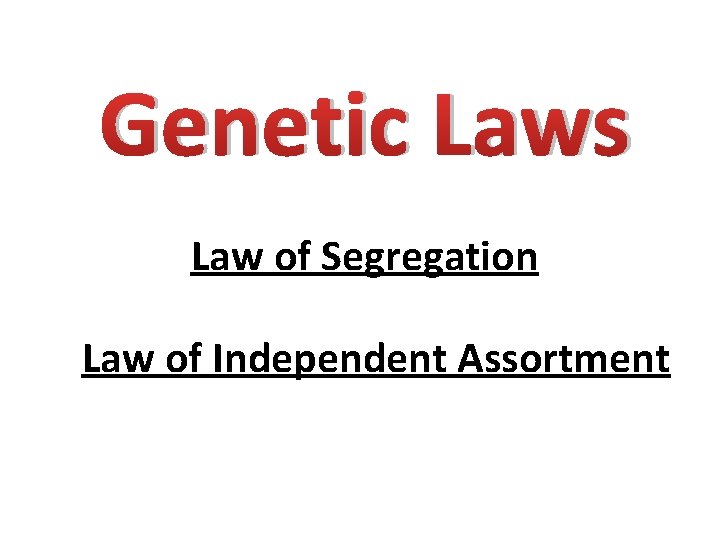Genetic Laws Law of Segregation Law of Independent Assortment 