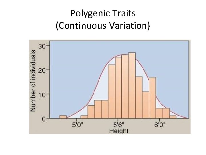 Polygenic Traits (Continuous Variation) 