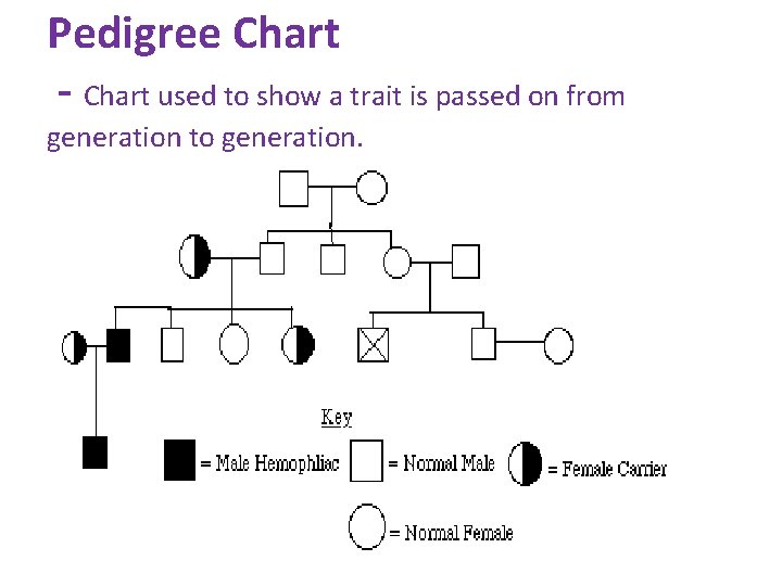 Pedigree Chart - Chart used to show a trait is passed on from generation