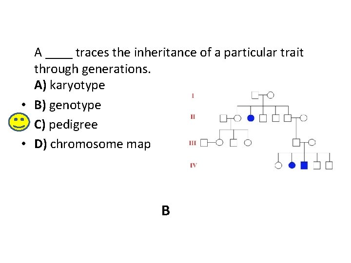 A ____ traces the inheritance of a particular trait through generations. A) karyotype •