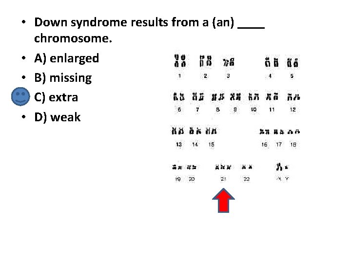  • Down syndrome results from a (an) ____ chromosome. • A) enlarged •