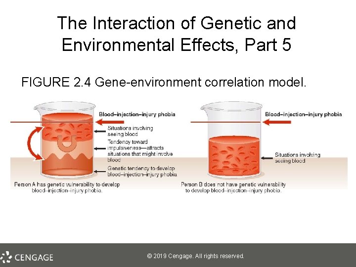 The Interaction of Genetic and Environmental Effects, Part 5 FIGURE 2. 4 Gene-environment correlation