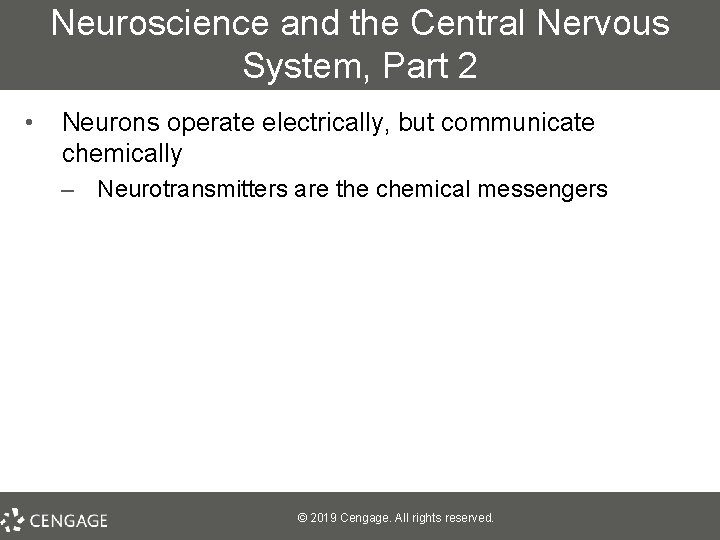 Neuroscience and the Central Nervous System, Part 2 • Neurons operate electrically, but communicate