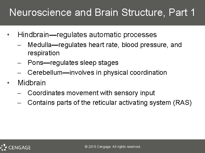 Neuroscience and Brain Structure, Part 1 • Hindbrain—regulates automatic processes – Medulla—regulates heart rate,