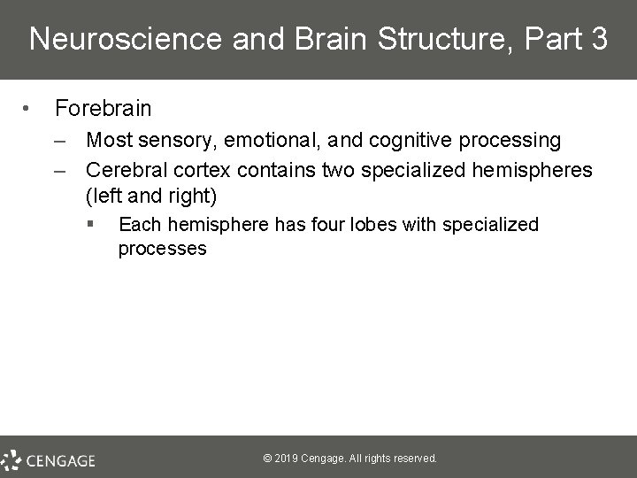 Neuroscience and Brain Structure, Part 3 • Forebrain – Most sensory, emotional, and cognitive