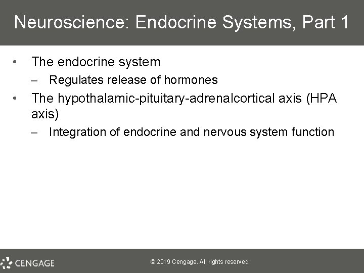 Neuroscience: Endocrine Systems, Part 1 • The endocrine system – Regulates release of hormones