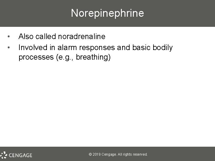 Norepinephrine • • Also called noradrenaline Involved in alarm responses and basic bodily processes