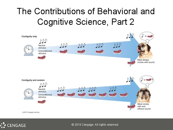 The Contributions of Behavioral and Cognitive Science, Part 2 © 2019 Cengage. All rights