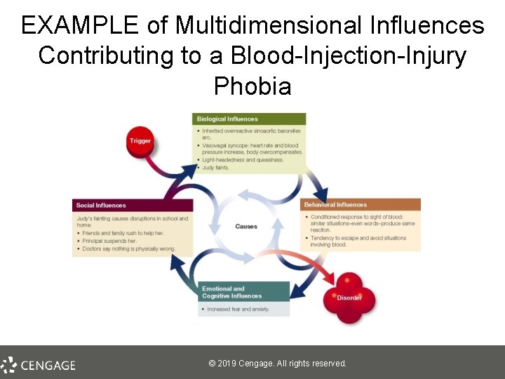 EXAMPLE of Multidimensional Influences Contributing to a Blood-Injection-Injury Phobia © 2019 Cengage. All rights