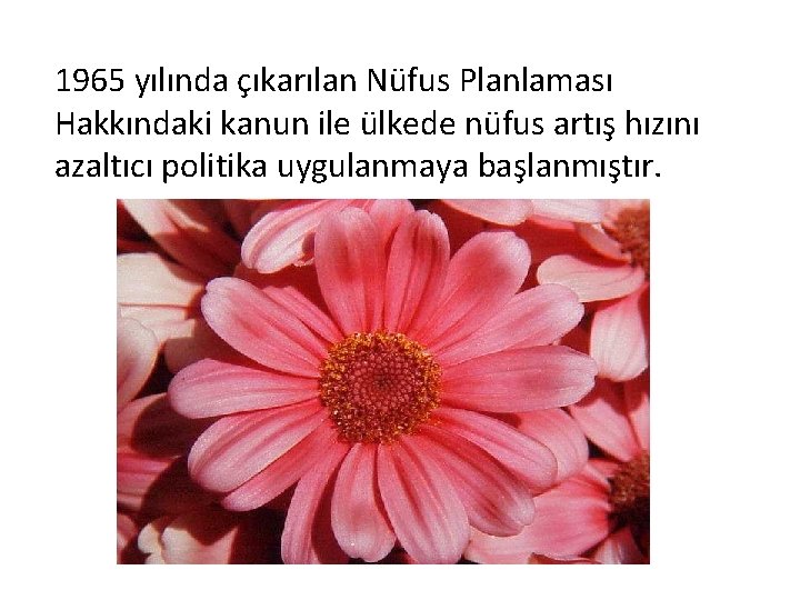 1965 yılında çıkarılan Nüfus Planlaması Hakkındaki kanun ile ülkede nüfus artış hızını azaltıcı politika