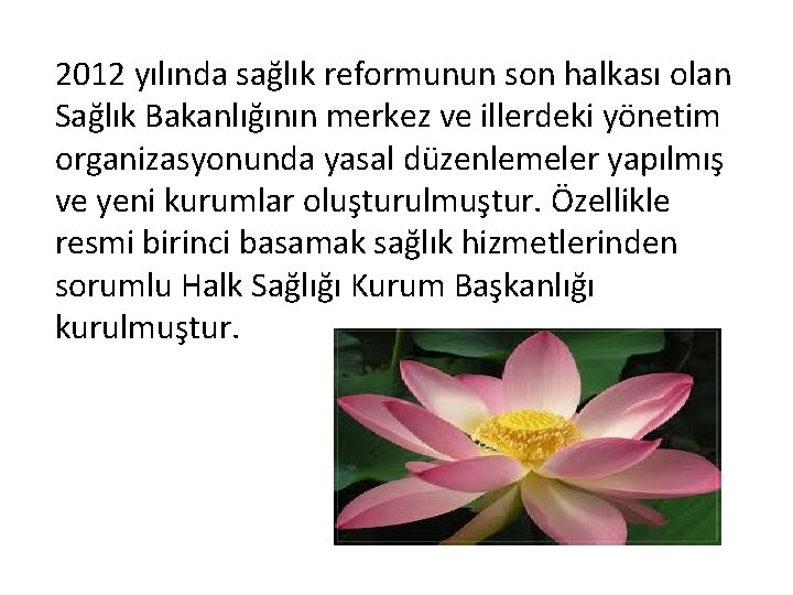 2012 yılında sağlık reformunun son halkası olan Sağlık Bakanlığının merkez ve illerdeki yönetim organizasyonunda