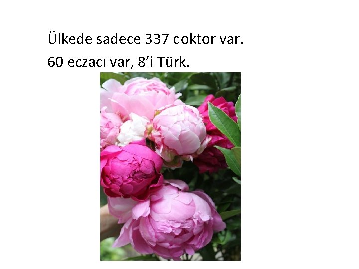 Ülkede sadece 337 doktor var. 60 eczacı var, 8’i Türk. 