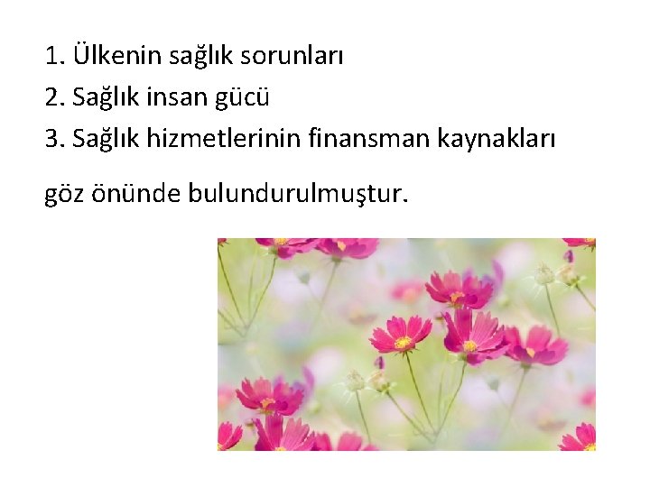 1. Ülkenin sağlık sorunları 2. Sağlık insan gücü 3. Sağlık hizmetlerinin finansman kaynakları göz