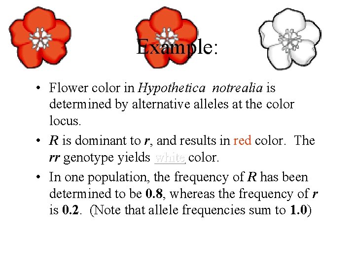 Example: • Flower color in Hypothetica notrealia is determined by alternative alleles at the