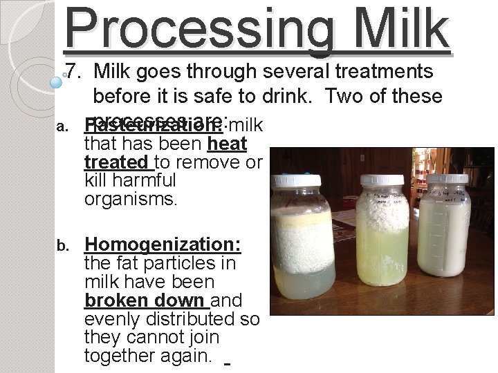 Processing Milk 7. Milk goes through several treatments before it is safe to drink.