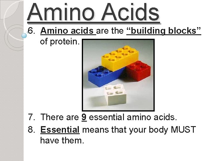 Amino Acids 6. Amino acids are the “building blocks” of protein. 7. There are