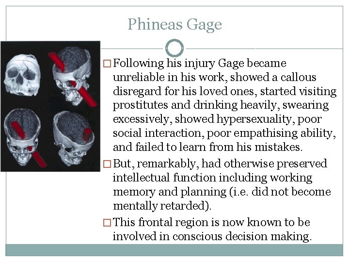 Phineas Gage � Following his injury Gage became unreliable in his work, showed a