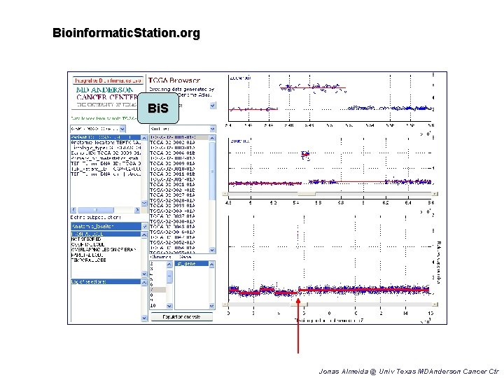 Bioinformatic. Station. org Bi. S Jonas Almeida @ Univ Texas MDAnderson Cancer Ctr 