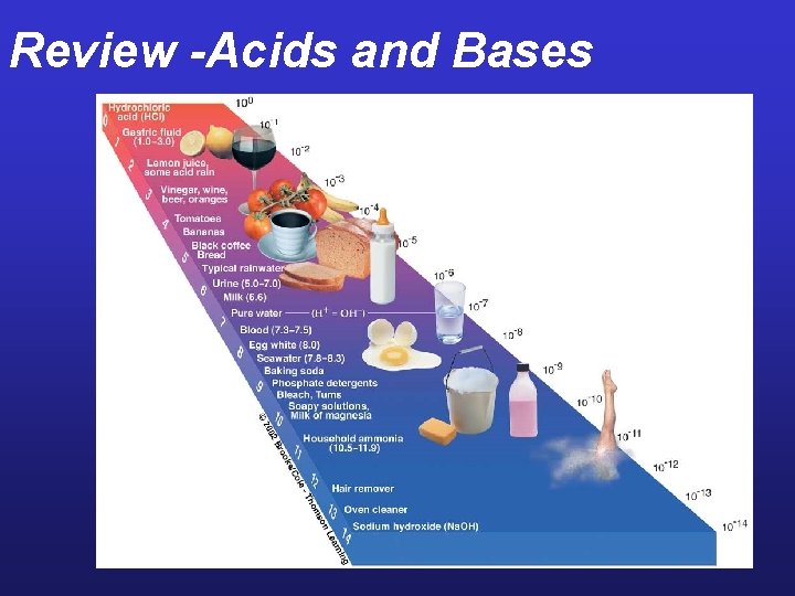 Review -Acids and Bases 