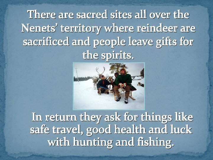 There are sacred sites all over the Nenets’ territory where reindeer are sacrificed and