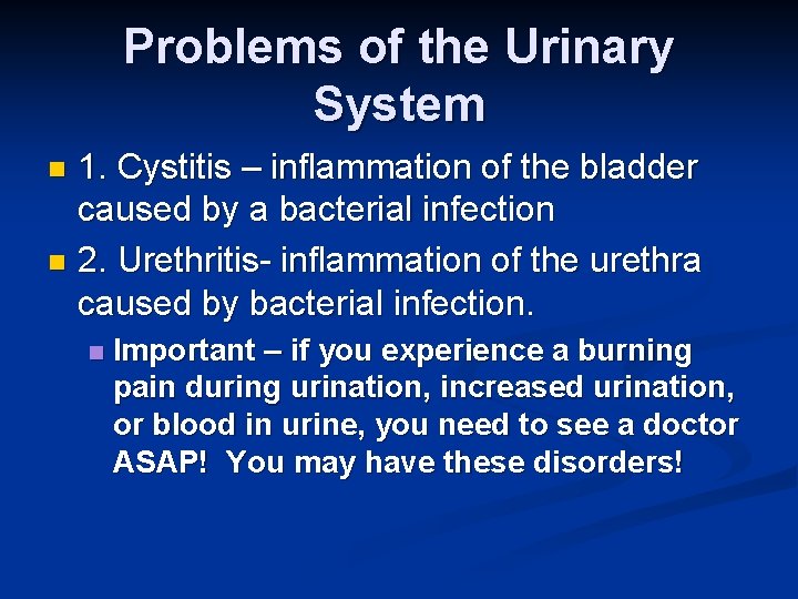 Problems of the Urinary System 1. Cystitis – inflammation of the bladder caused by