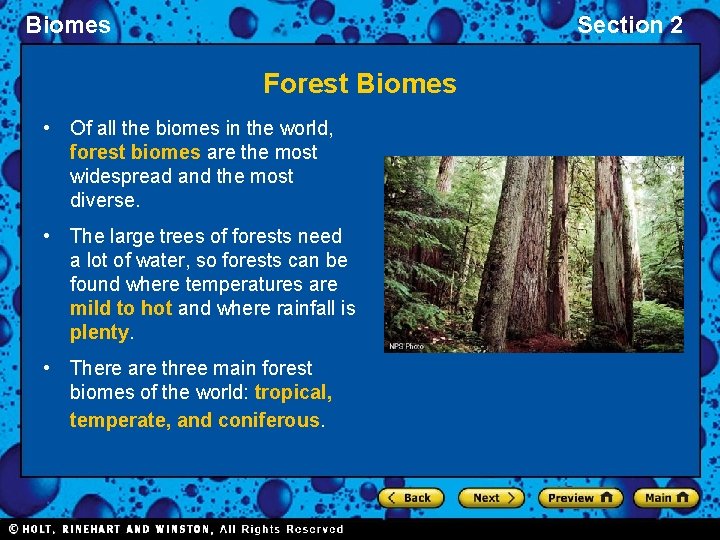 Biomes Section 2 Forest Biomes • Of all the biomes in the world, forest