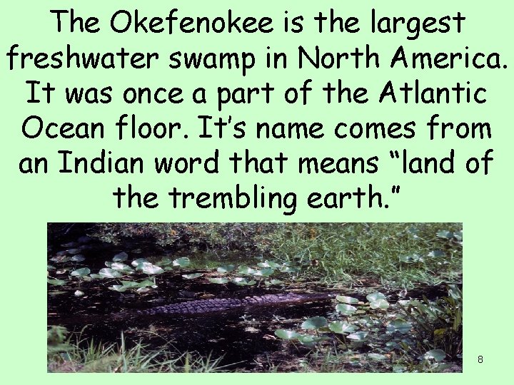 The Okefenokee is the largest freshwater swamp in North America. It was once a