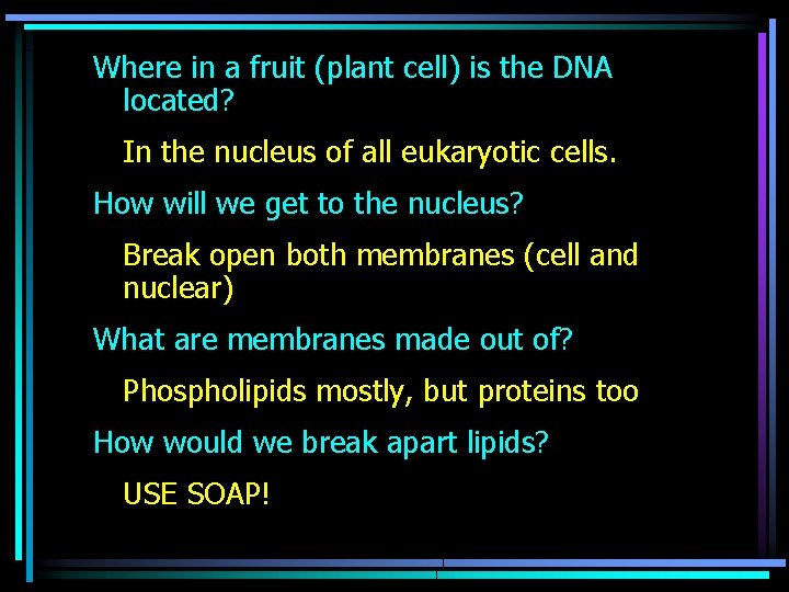 Where in a fruit (plant cell) is the DNA located? In the nucleus of