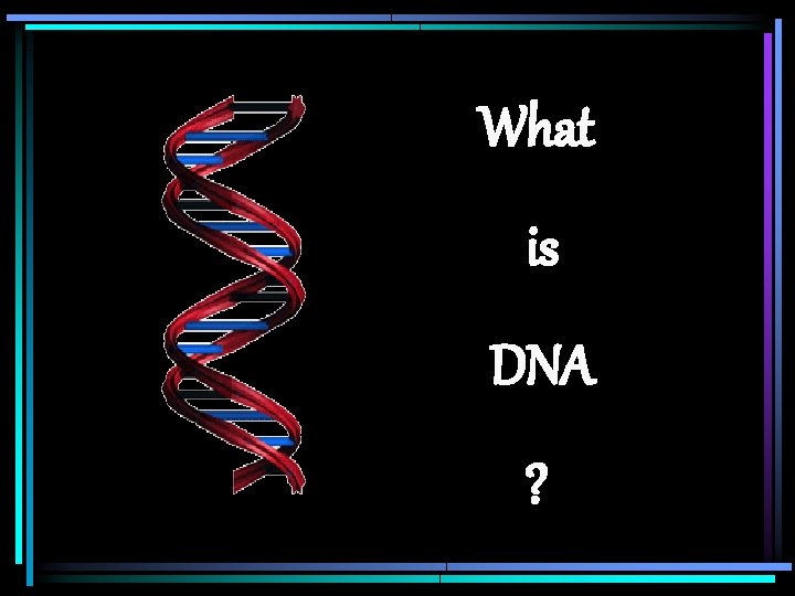 What is DNA ? 