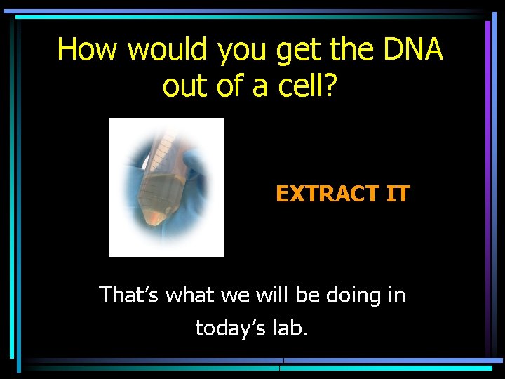 How would you get the DNA out of a cell? EXTRACT IT That’s what