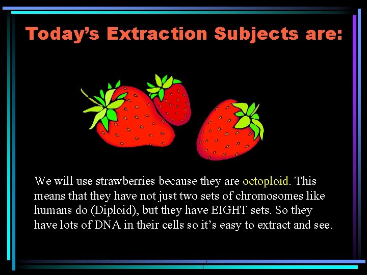 Today’s Extraction Subjects are: We will use strawberries because they are octoploid. This means