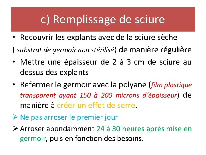 c) Remplissage de sciure • Recouvrir les explants avec de la sciure sèche (