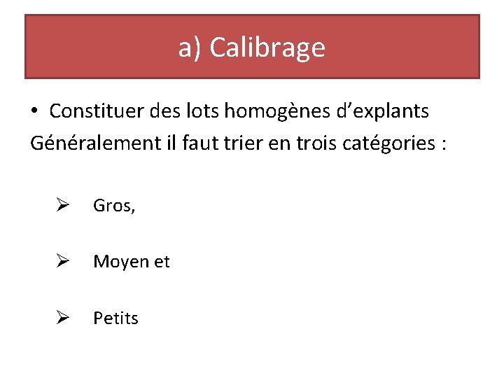 a) Calibrage • Constituer des lots homogènes d’explants Généralement il faut trier en trois