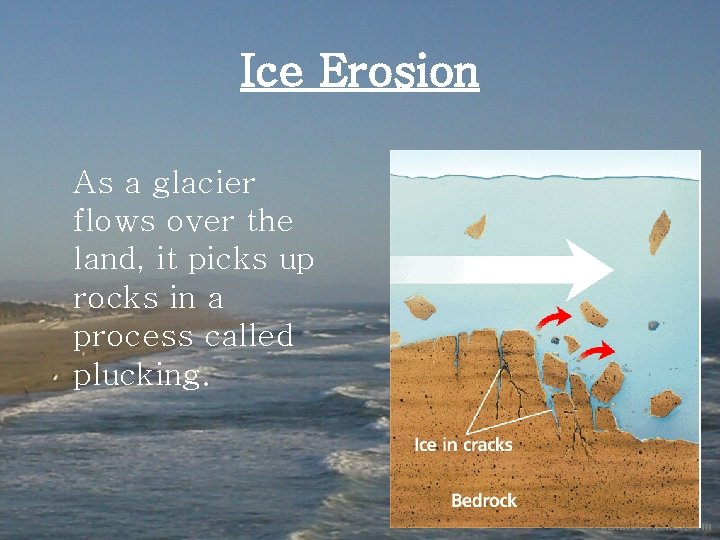 Ice Erosion As a glacier flows over the land, it picks up rocks in