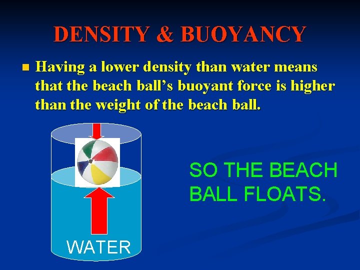 DENSITY & BUOYANCY n Having a lower density than water means that the beach