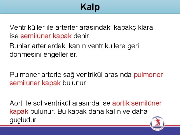 Kalp Ventriküller ile arterler arasındaki kapakçıklara ise semilüner kapak denir. Bunlar arterlerdeki kanın ventriküllere