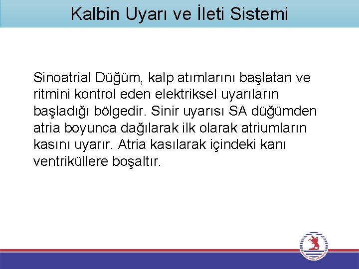 Kalbin Uyarı ve İleti Sistemi Sinoatrial Düğüm, kalp atımlarını başlatan ve ritmini kontrol eden