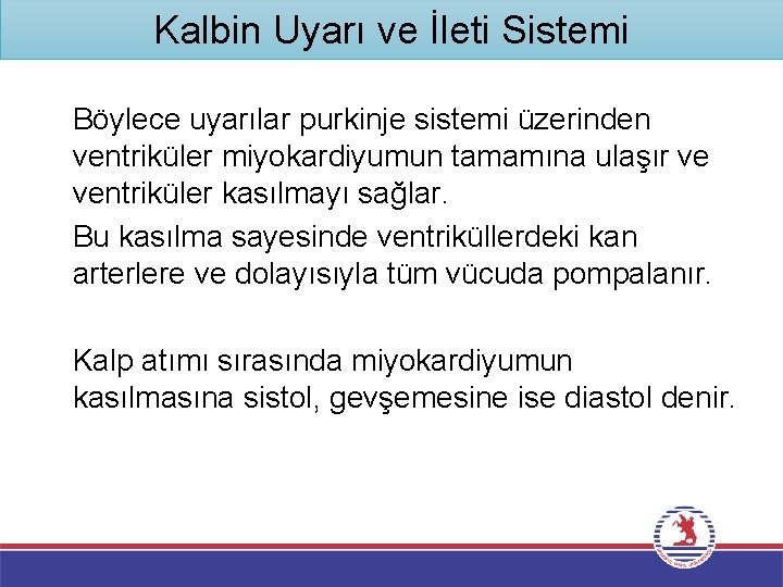 Kalbin Uyarı ve İleti Sistemi Böylece uyarılar purkinje sistemi üzerinden ventriküler miyokardiyumun tamamına ulaşır