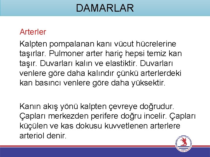 DAMARLAR Arterler Kalpten pompalanan kanı vücut hücrelerine taşırlar. Pulmoner arter hariç hepsi temiz kan