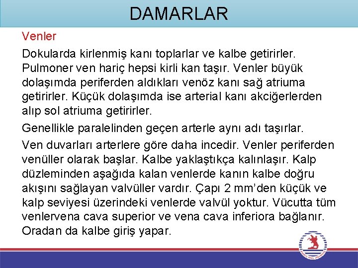 DAMARLAR Venler Dokularda kirlenmiş kanı toplarlar ve kalbe getirirler. Pulmoner ven hariç hepsi kirli