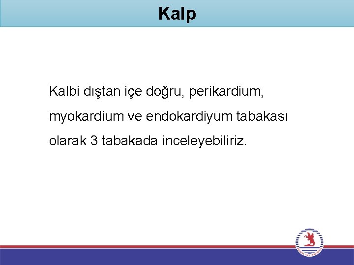 Kalp Kalbi dıştan içe doğru, perikardium, myokardium ve endokardiyum tabakası olarak 3 tabakada inceleyebiliriz.