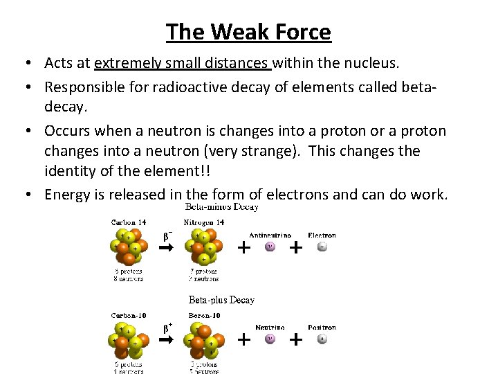 The Weak Force • Acts at extremely small distances within the nucleus. • Responsible