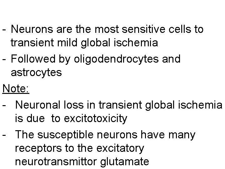 - Neurons are the most sensitive cells to transient mild global ischemia - Followed