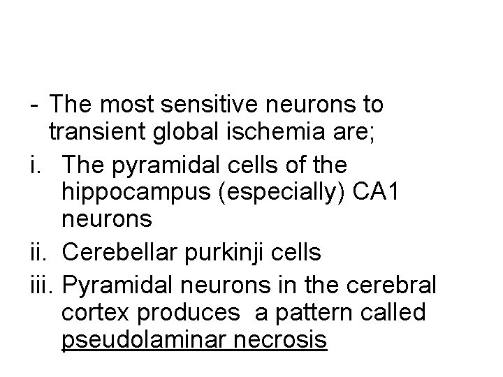 - The most sensitive neurons to transient global ischemia are; i. The pyramidal cells