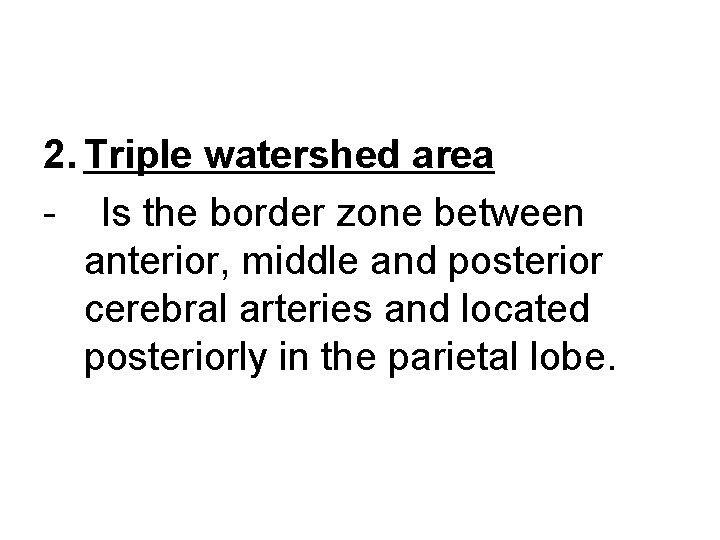 2. Triple watershed area - Is the border zone between anterior, middle and posterior