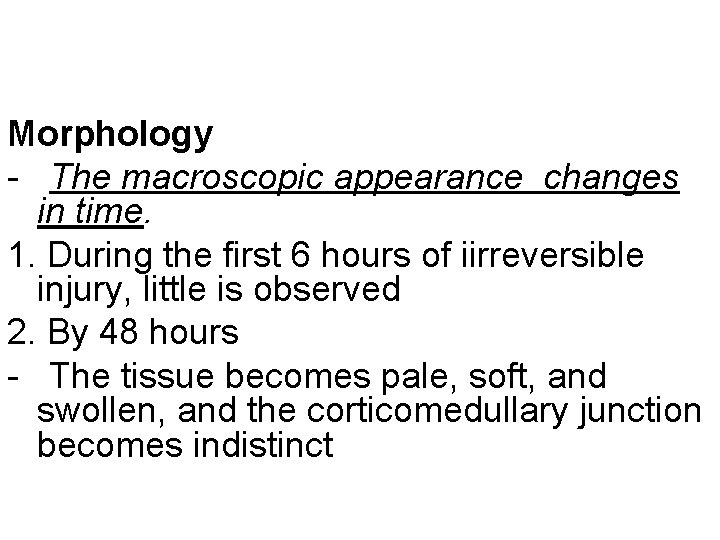 Morphology - The macroscopic appearance changes in time. 1. During the first 6 hours
