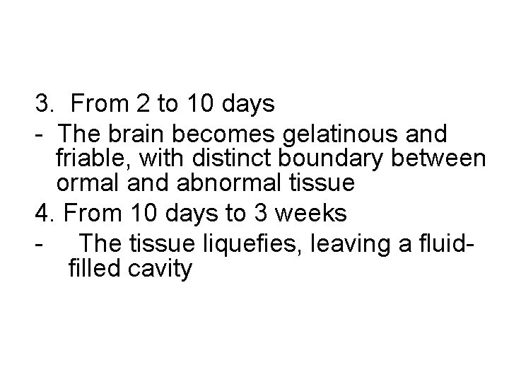 3. From 2 to 10 days - The brain becomes gelatinous and friable, with