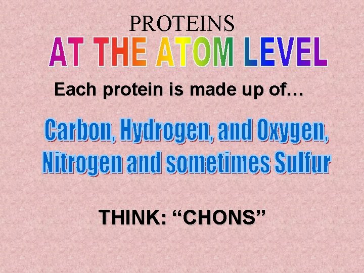 PROTEINS Each protein is made up of… THINK: “CHONS” 